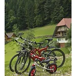 Oeko-landhotel Basler Hof Hotel Lauterbach (Baden-Wurttemberg)