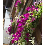 Oeko-landhotel Basler Hof 4*