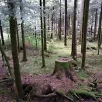 Oeko-landhotel Basler Hof 4* Lauterbach (Baden-Wurttemberg)