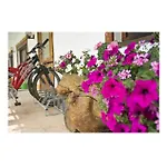 Oeko-landhotel Basler Hof 4* Lauterbach (Baden-Wurttemberg)