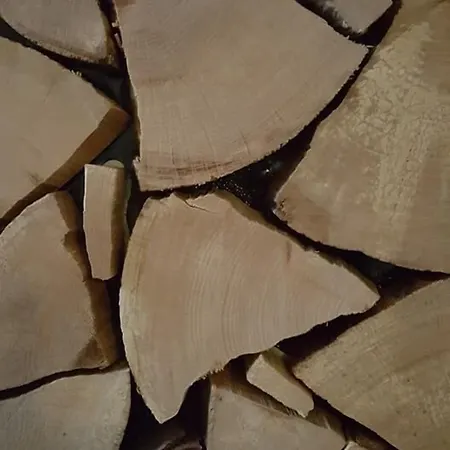 Hotel Oeko-landhotel Basler Hof