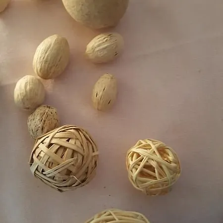 Hotel Oeko-landhotel Basler Hof Lauterbach (Baden-Wurttemberg)