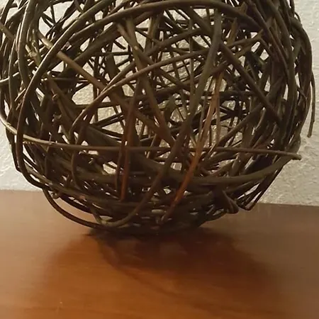 Oeko-landhotel Basler Hof Hotel Lauterbach (Baden-Wurttemberg)