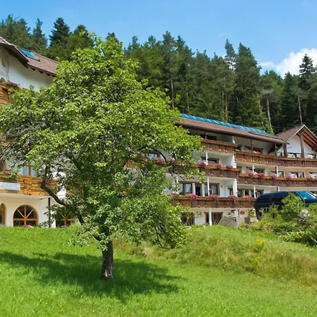 Oeko-landhotel Basler Hof 4* Лаутербах