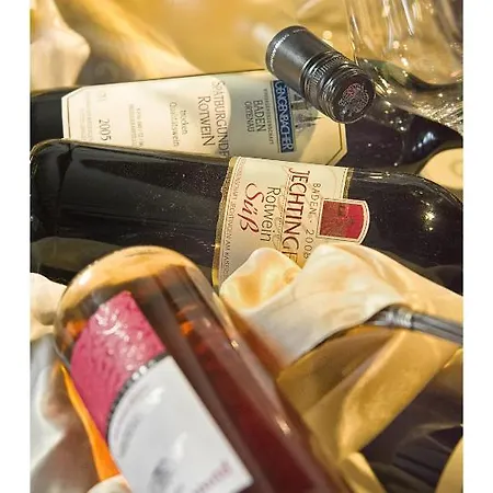 Oeko-landhotel Basler Hof