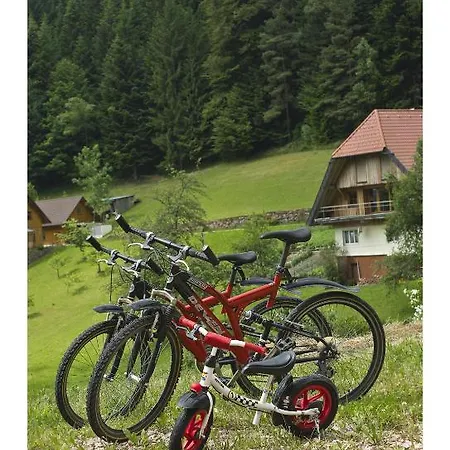 Oeko-landhotel Basler Hof Отель Лаутербах