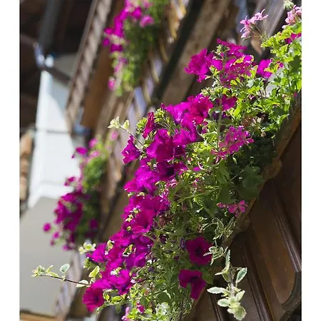 Oeko-landhotel Basler Hof 4*