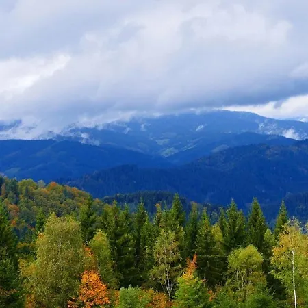 Hotel Oeko-landhotel Basler Hof Lauterbach (Baden-Wurttemberg)