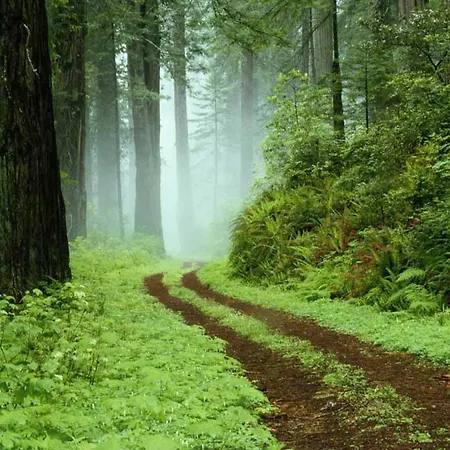 Hotel Oeko-landhotel Basler Hof Lauterbach (Baden-Wurttemberg)