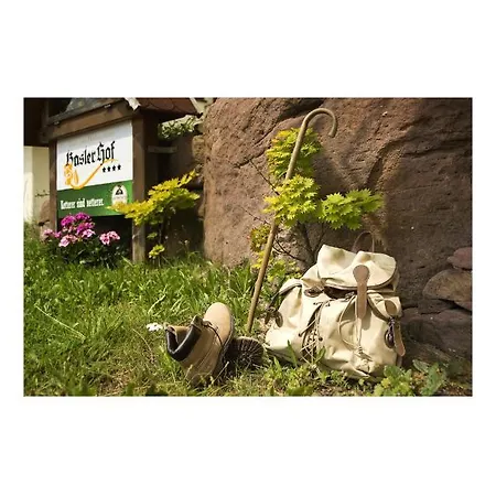 Oeko-landhotel Basler Hof 4* Лаутербах