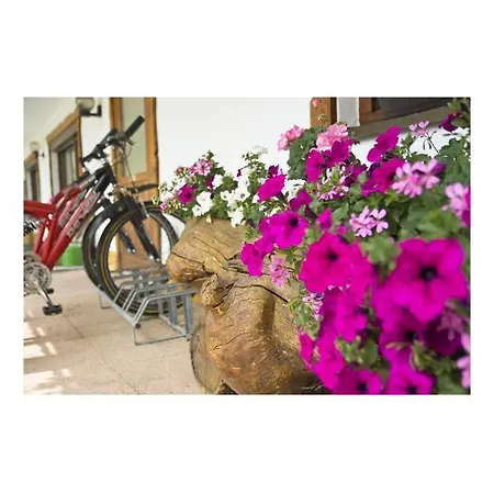 Oeko-landhotel Basler Hof 4* Лаутербах