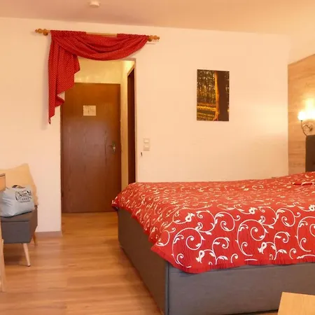 Отель Oeko-landhotel Basler Hof