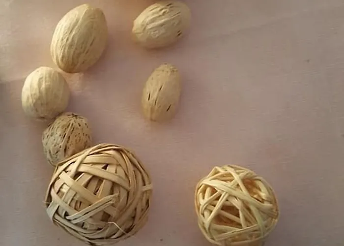 Hotel Basler Hof Lauterbach (Baden-Wurttemberg)