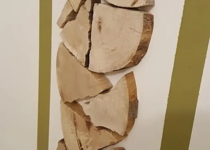 Oeko-landhotel Basler Hof Lauterbach (Baden-Wurttemberg)