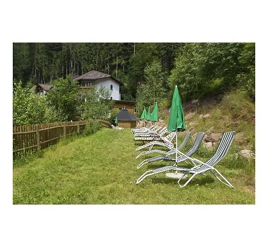 Hotell Oeko-landhotel Basler Hof Lauterbach (Baden-Wurttemberg)