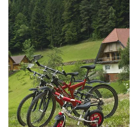 Oeko-landhotel Basler Hof Hotell Lauterbach (Baden-Wurttemberg)