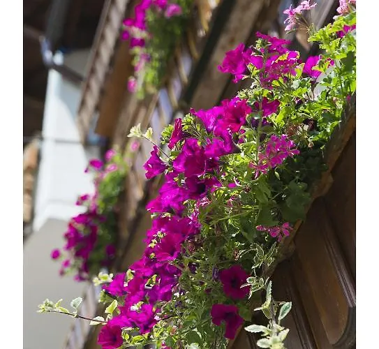 Oeko-landhotel Basler Hof 4*