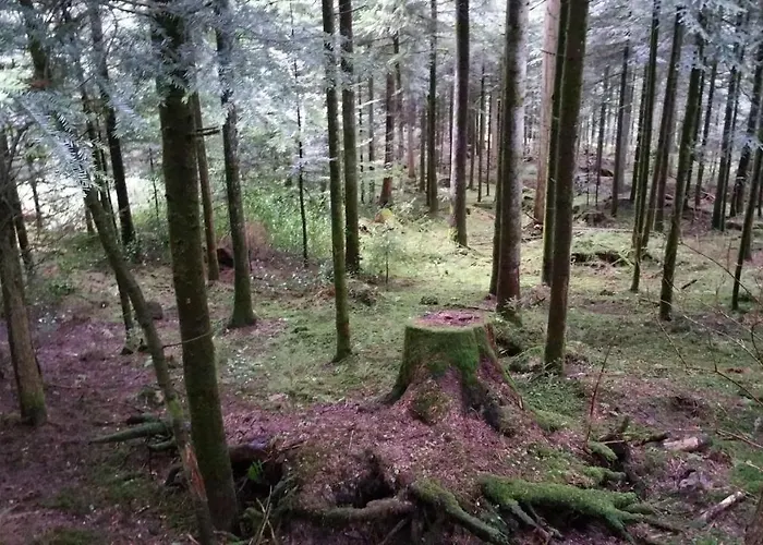 Oeko-landhotel Basler Hof 4* Lauterbach (Baden-Wurttemberg)