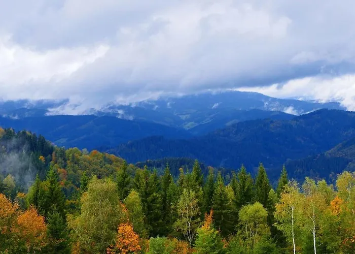 Hotel Basler Hof Lauterbach (Baden-Wurttemberg)