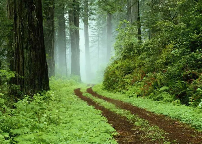 Hotel Basler Hof Lauterbach (Baden-Wurttemberg)